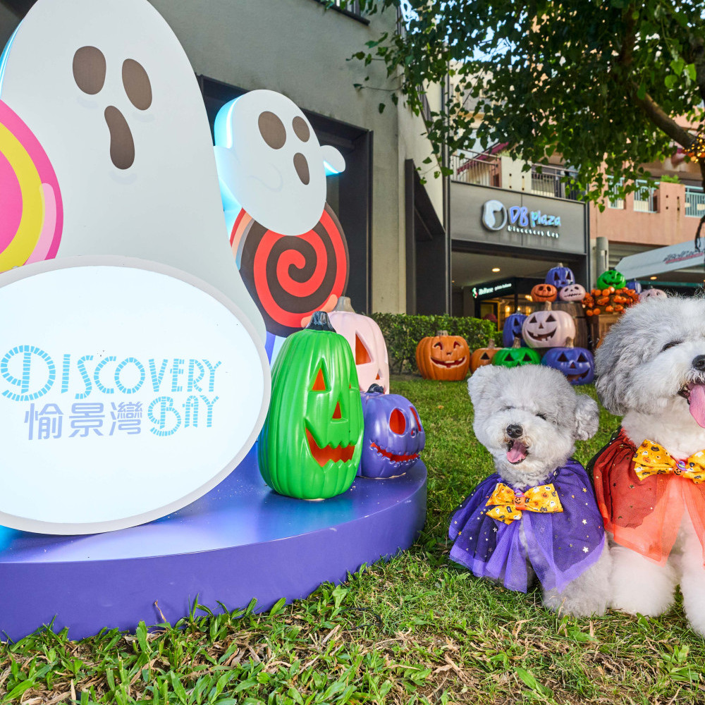 2c. Spooky Chills Photo Spots_DB Plaza Lawn with Pets.jpg